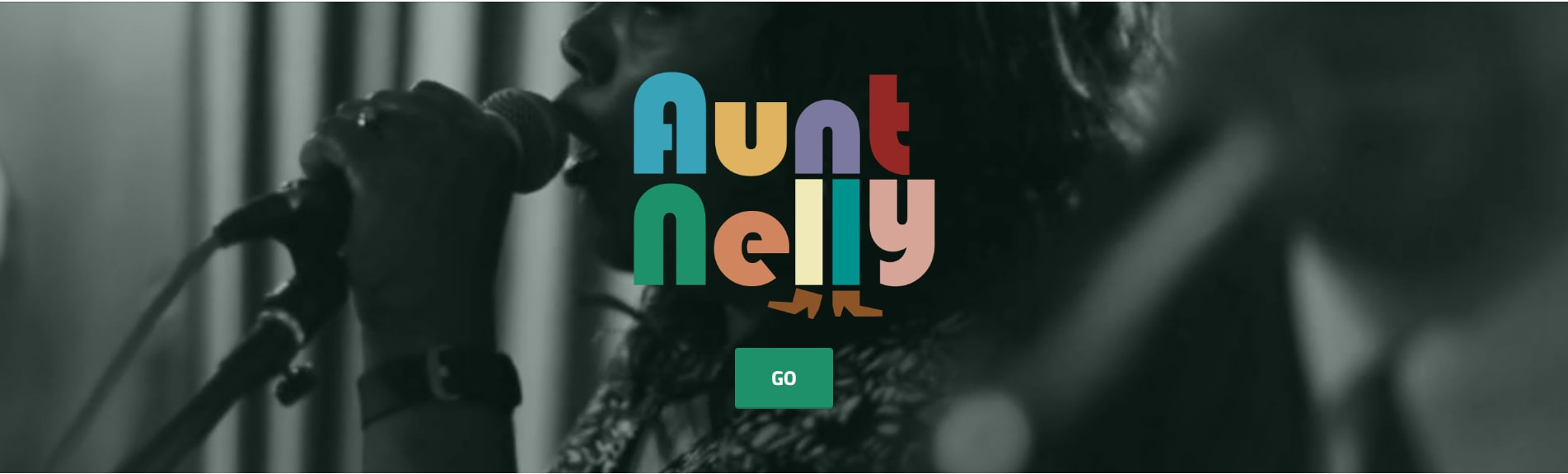 Logo from website called Aunt Nelly Logo from website called Aunt Nelly